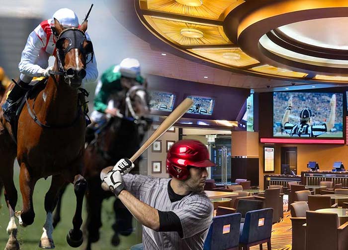 Sportsbook lounge showing sports being played